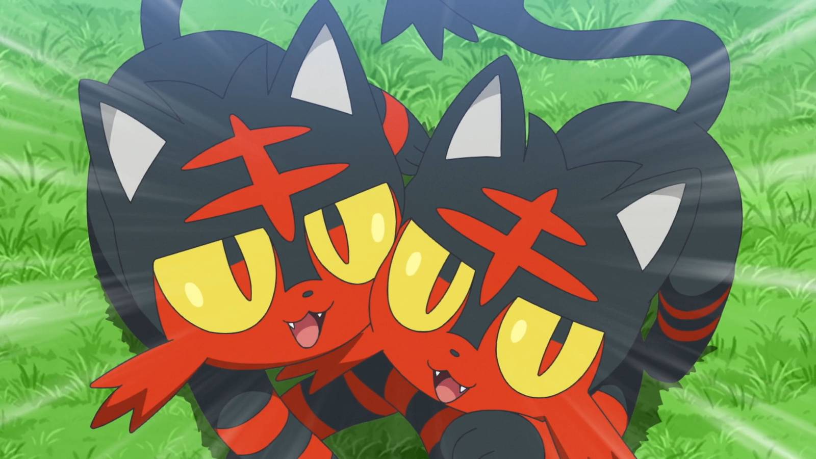 Új Litten Pokémon Build-a-Bear felfedve