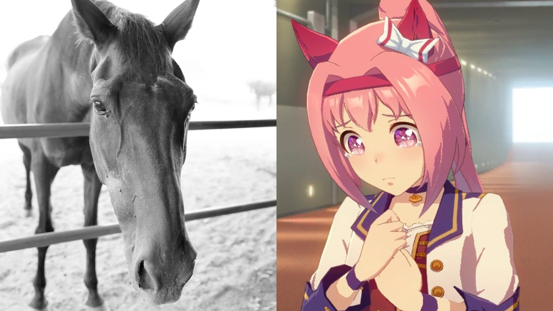 Haru Urara, az Uma Musume karakterét ihlető versenyló, elhunyt 29 évesen