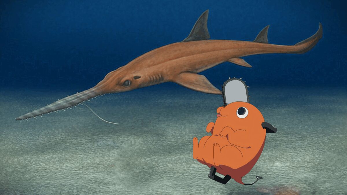 Pochitaserra Patriciacanalae — Az új Pochitáról elnevezett Sawshark!