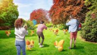 A Pokemon GO bejelenti a közösségi nap Pokémonját 2026 márciusára.
