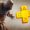 Új PS Plus Extra és Premium játékok 2025 decemberére hivatalosan bejelentve