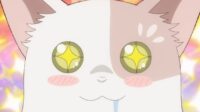 A Cat and the Dragon Anime Új Trailerét és További Szereplőket Mutat Be!